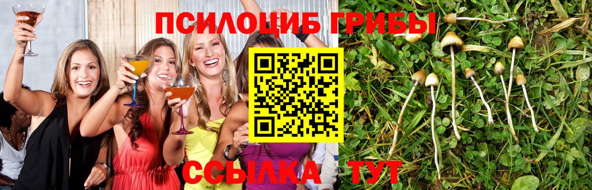 Псилоцибиновые грибы Magic Shrooms  Вход с VPN  Галлюциногенные грибы Cubensis  Стерлитамак 